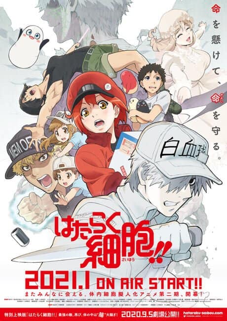 Cells at Work! Confirma data de estreia de 2ª temporada!