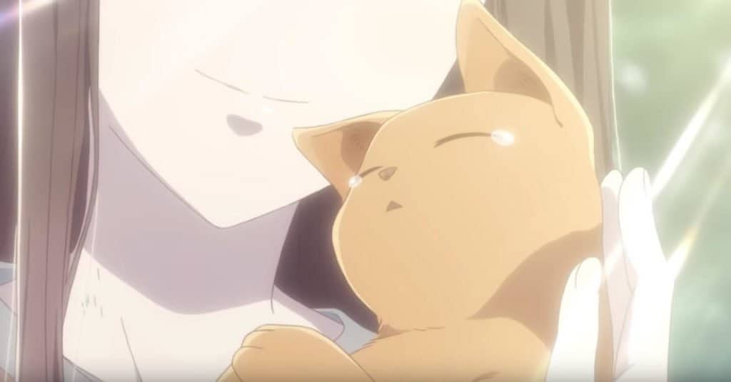 Fruits Basket 2a temporada gato