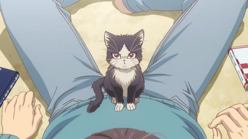 gato sentado no colo de um homem em anime shoujo